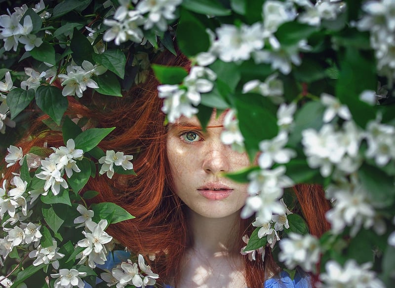 Whimsical Themes
